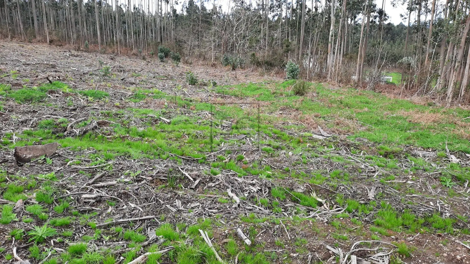 Terreno residenziale in vendita a Calle Bidueda, imagen 10