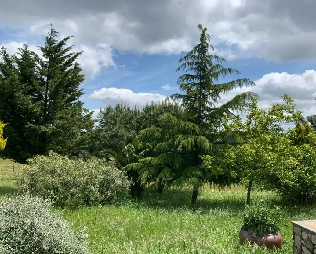 Casa o chalet en venta en Calera de León con Jardín privado, Terraza y Amueblado