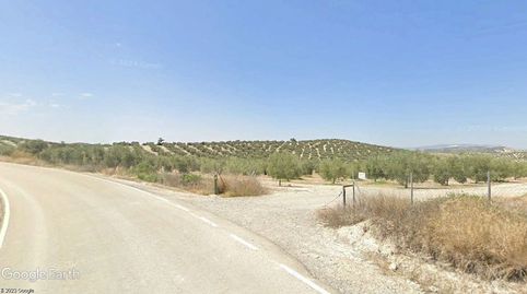 FINCA DE OLIVOS, OPCIÓN DE SONDEO Y VIVIENDA., imatge 3