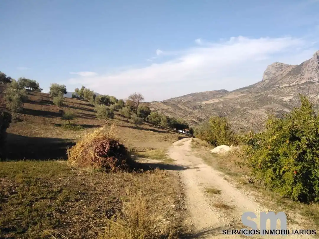 Terreno en venta en Zahara