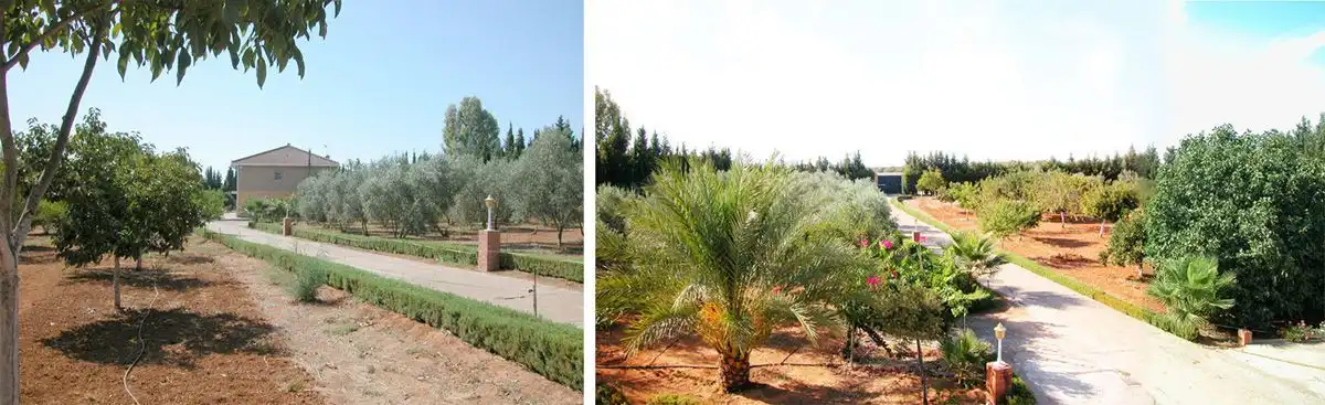 Garden of Houses for sale in Bollullos de la Mitación  with Air Conditioner, Heating and Private garden