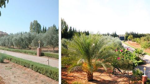 Photo 3 of Houses for sale in Mairena - Almensilla, Bollullos de la Mitación, Sevilla