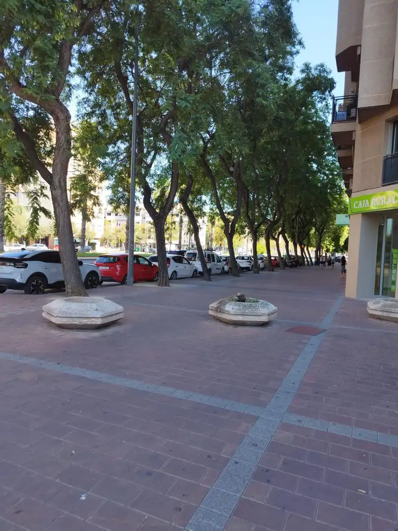 Mini appartamento con terrazza in affitto a Avenida Avenida Juan Carlos I, imagen 41