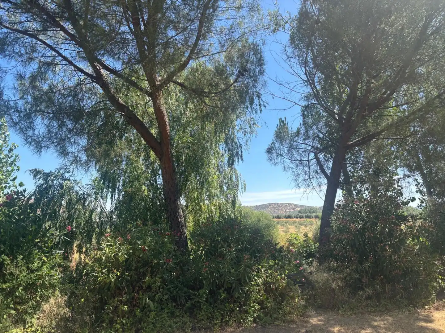 Xalet en venda a Malagón, imagen 16