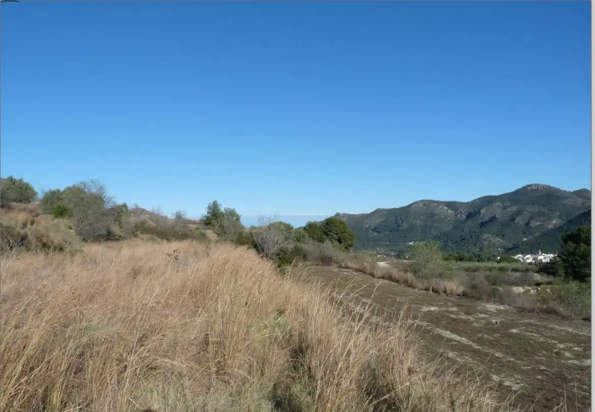 Terreny rústic en venda a Castelló de Rugat