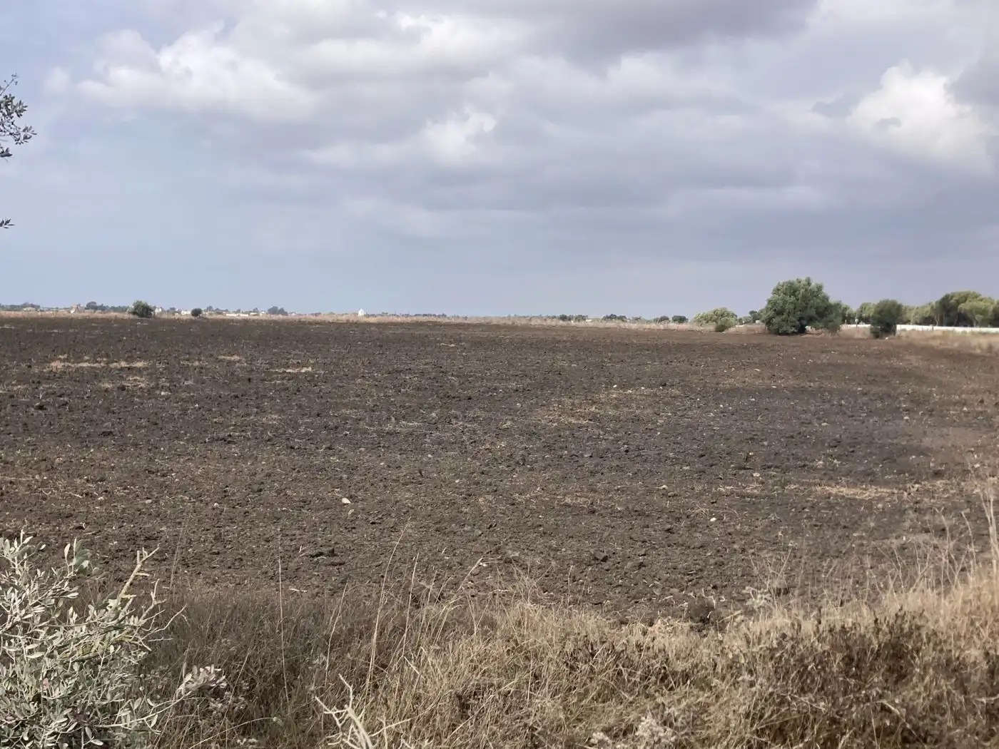 Terreni e lotti in vendita a El Palmar, imagen 4