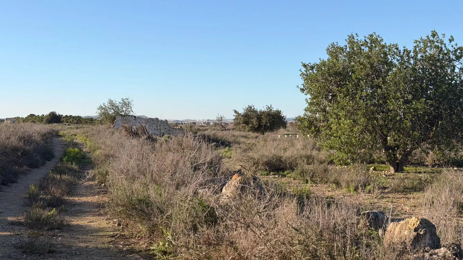 Terreno residencial en venta en La Marina, imagen 5