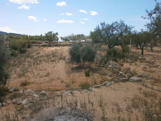 Terreno en Venta en Camí de l'Aleixar en L'Aleixar