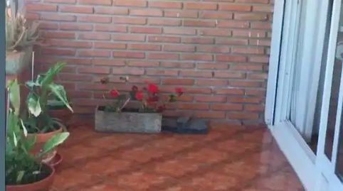 Foto 3 de Piso de alquiler en Avenida Das Camelias, 50, Camelias - Pi y Margall, Vigo