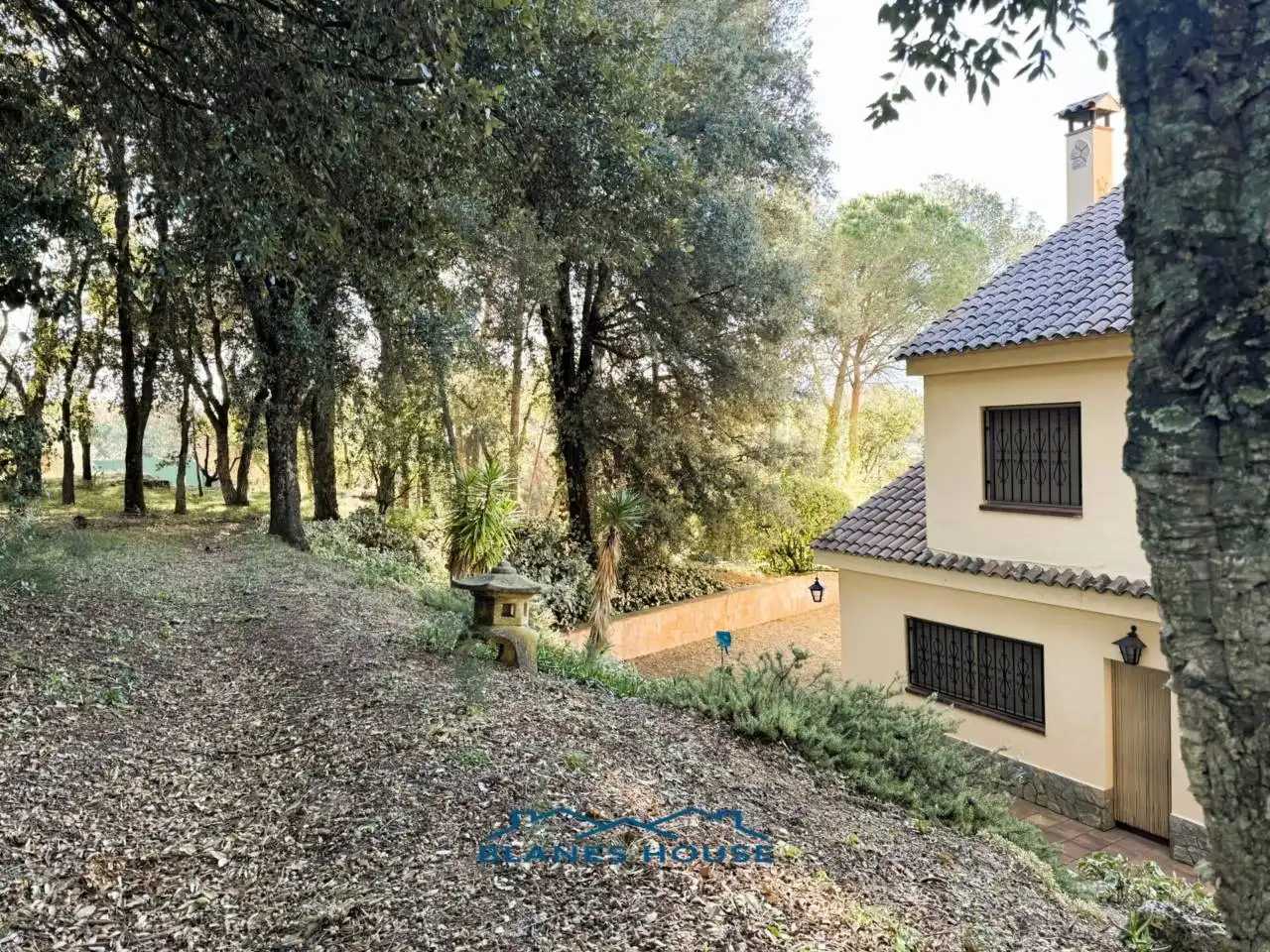 Vista exterior de Finca rústica en venda en Sant Feliu de Buixalleu amb Calefacció, Jardí privat i Terrassa