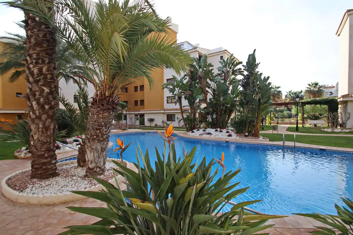 Mini appartamento con piscina in vendita a N/A, imagen 5