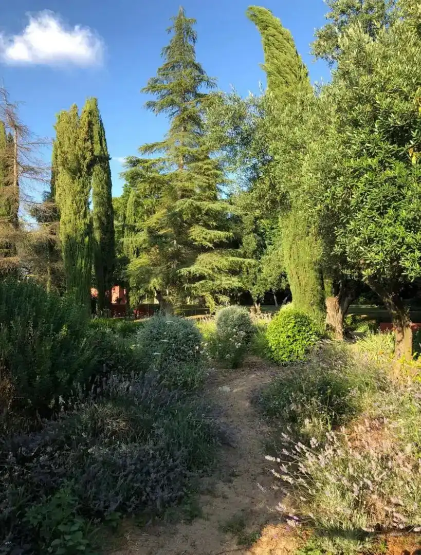 Jardí de Finca rústica en venda en Mairena del Aljarafe amb Aire condicionat, Jardí privat i Parquet