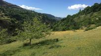Garden of Country house for sale in Capileira  with Terrace