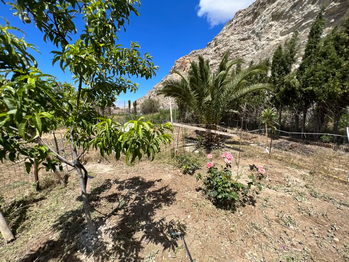 Land for sale in Zaragoza