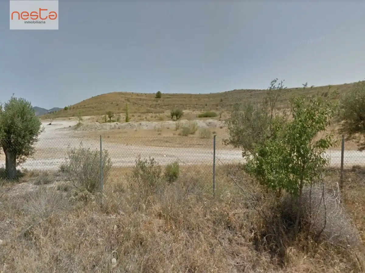 Terreno rustico in vendita a Pedanías Centro, imagen 2