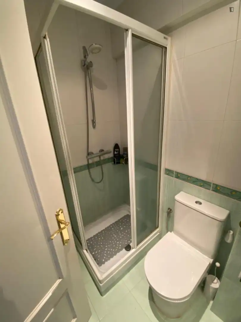 Bathroom of Apartments for share in Bilbao   with Furnished, Oven and Washing machine