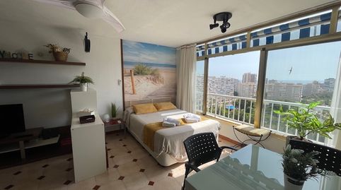 Foto 3 de Estudi de lloguer a Avenida Benidorm, Playa de San Juan, Alicante / Alacant