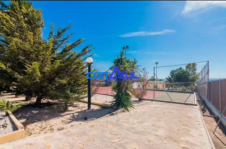 Vista exterior de Casa o xalet en venda en Elche / Elx amb Jardí privat, Terrassa i Piscina