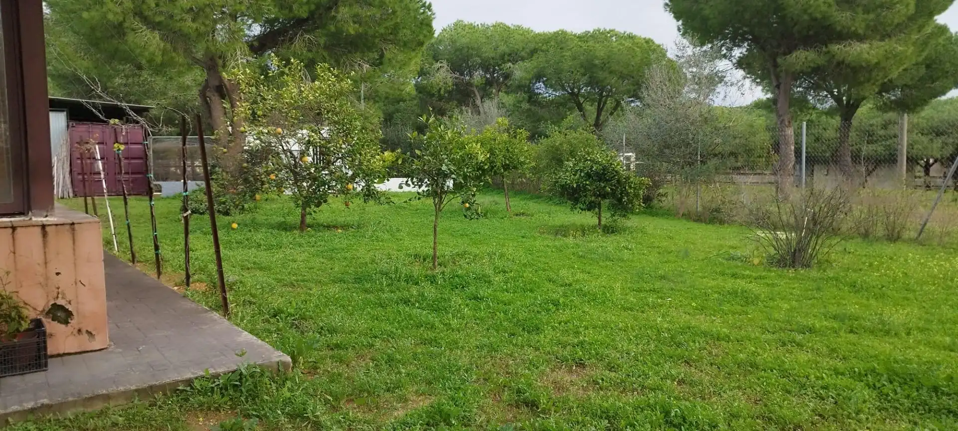 Casa o chalet en venta en Puerto Real