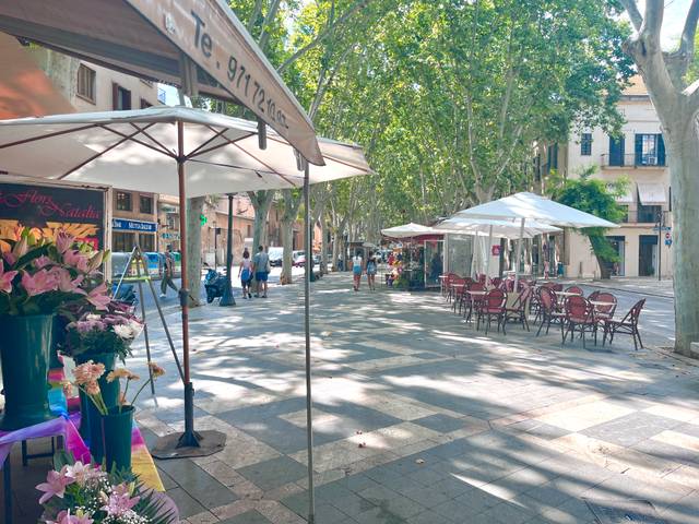 Apartamento en Alquiler en La Missió