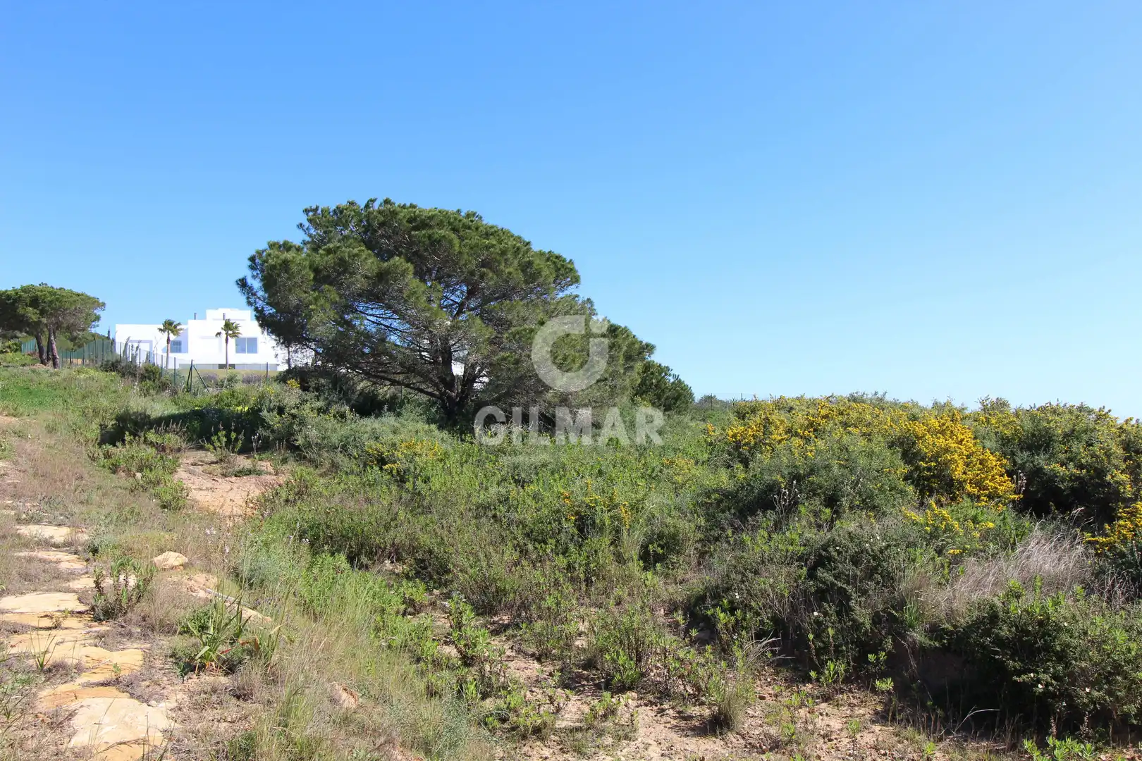 Chalet con piscina en venta en Sotogrande Alto, imagen 4