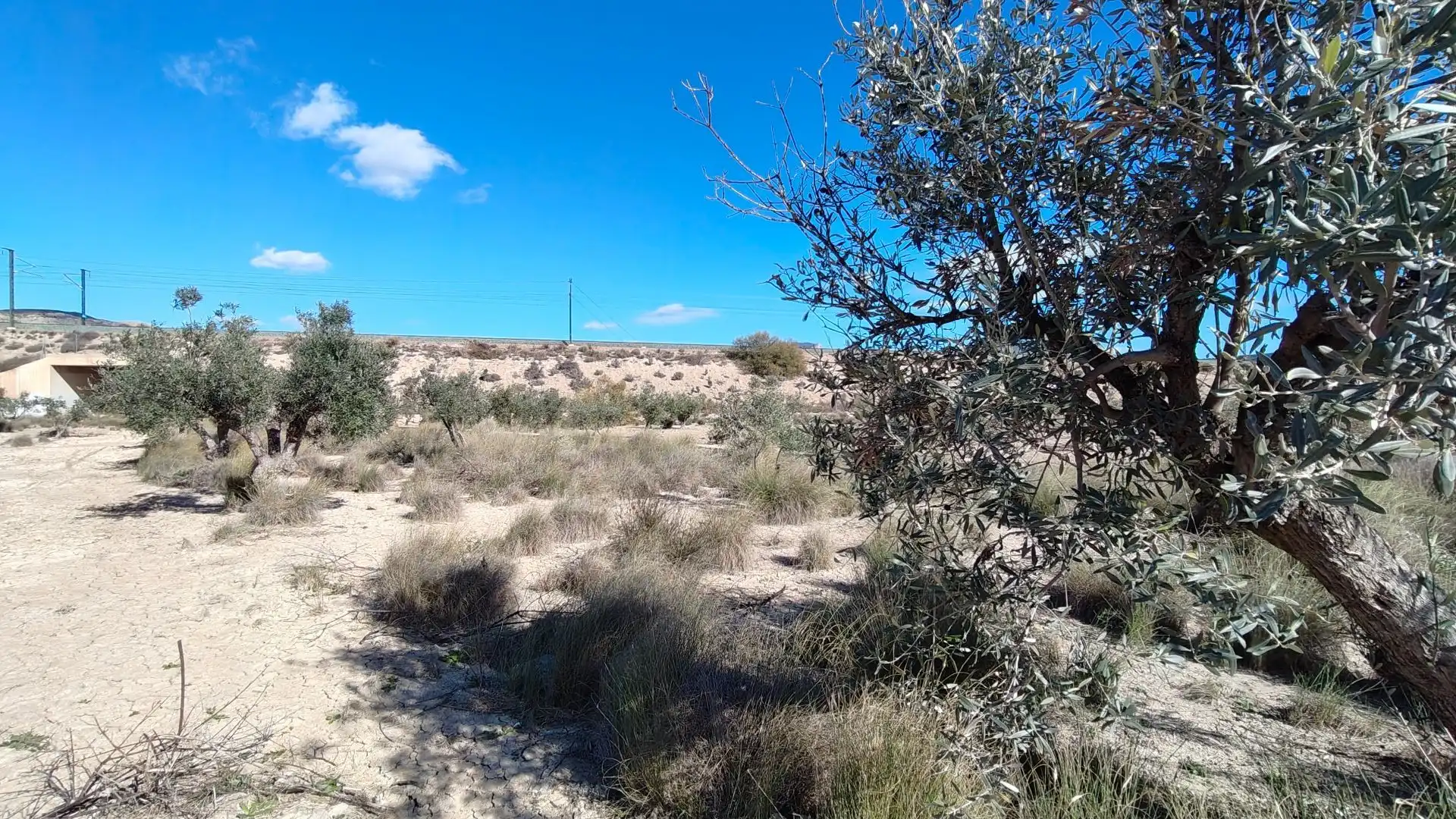 Terreno rustico in vendita a Campo Alto - Club de Campo, imagen 7