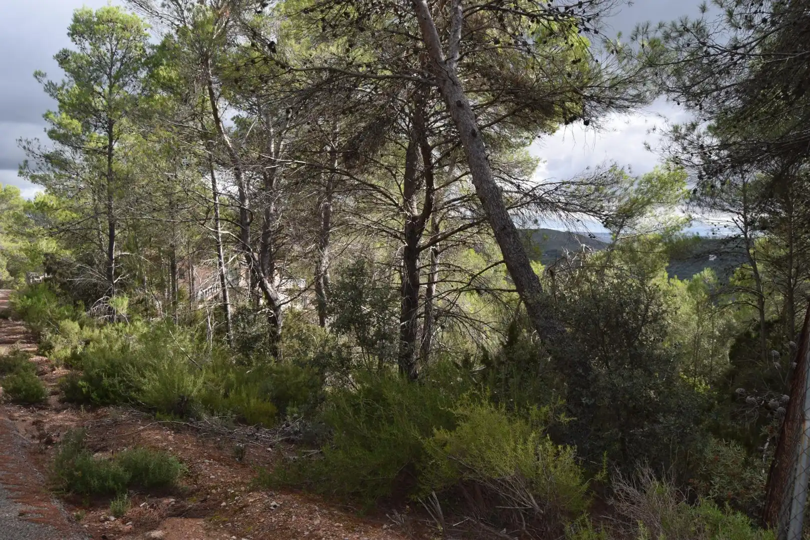 Residential land for sale in Calle Nueva Sierra CR, imagen 6