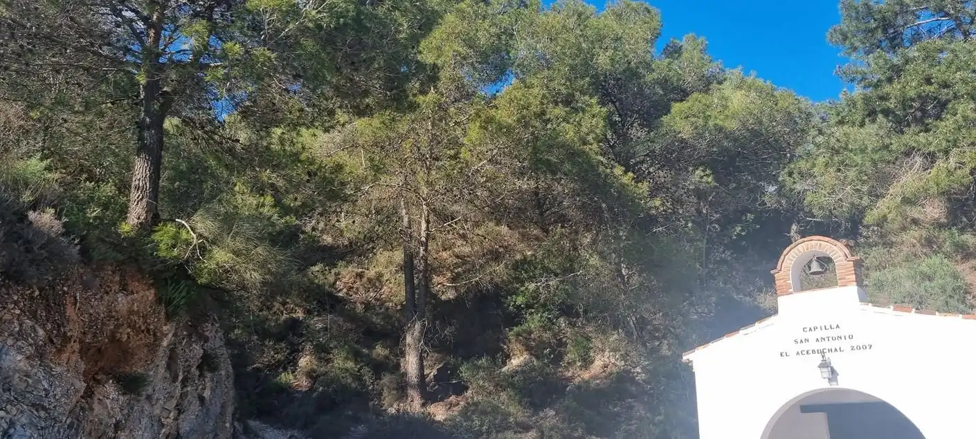 Detached homes for sale in Cómpeta  with Terrace and Swimming Pool