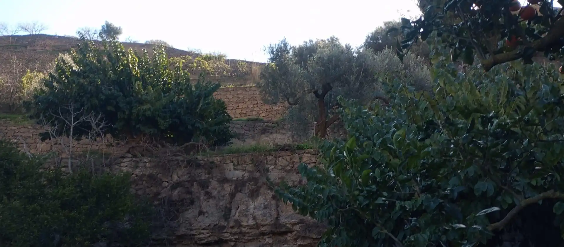 Casa rústica amb jardí en venda a Vélez de Benaudalla, imagen 19