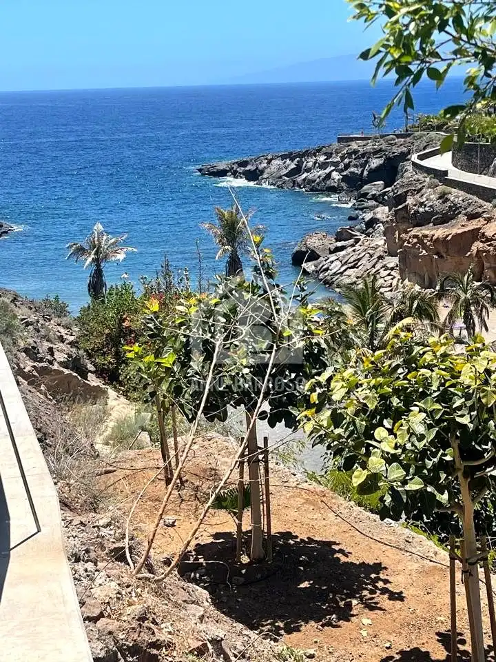Planta baja de alquiler en Adeje