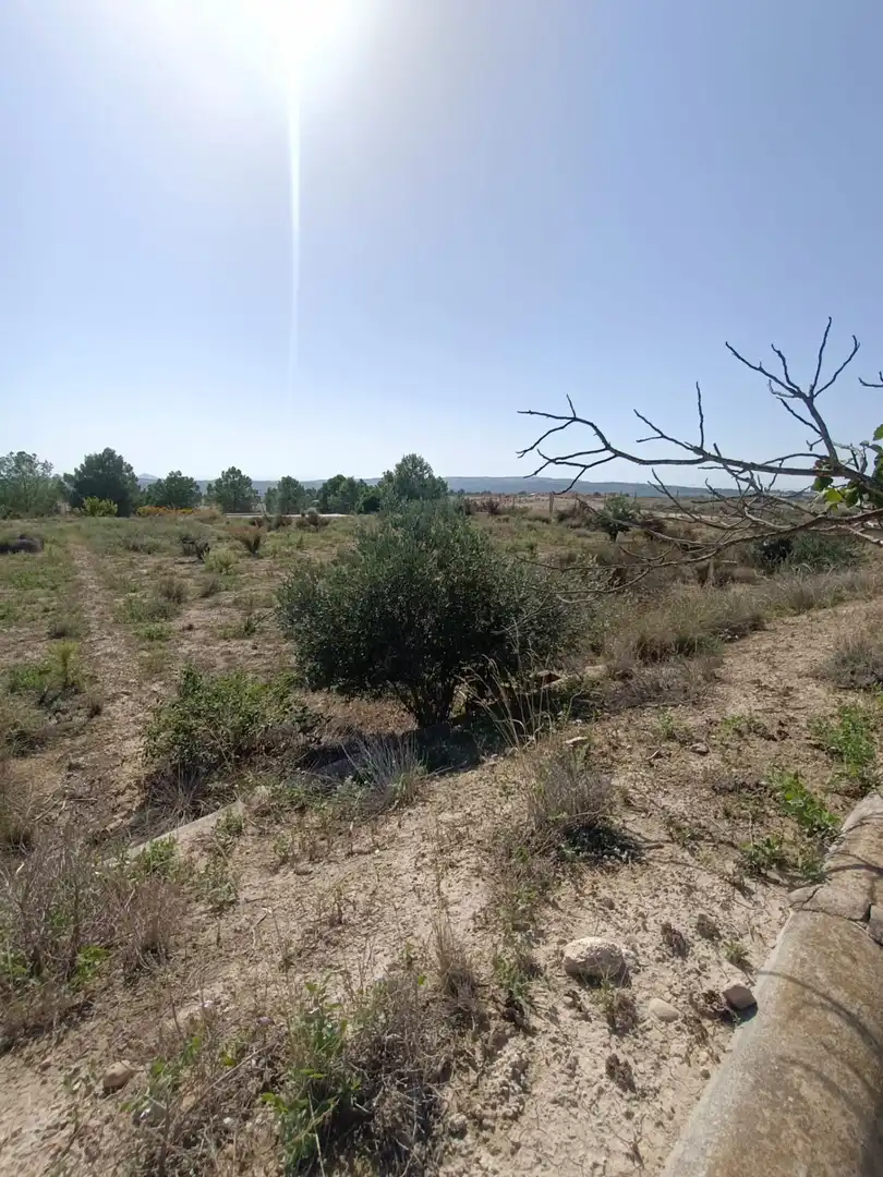 Houses for sale in Molina de Segura