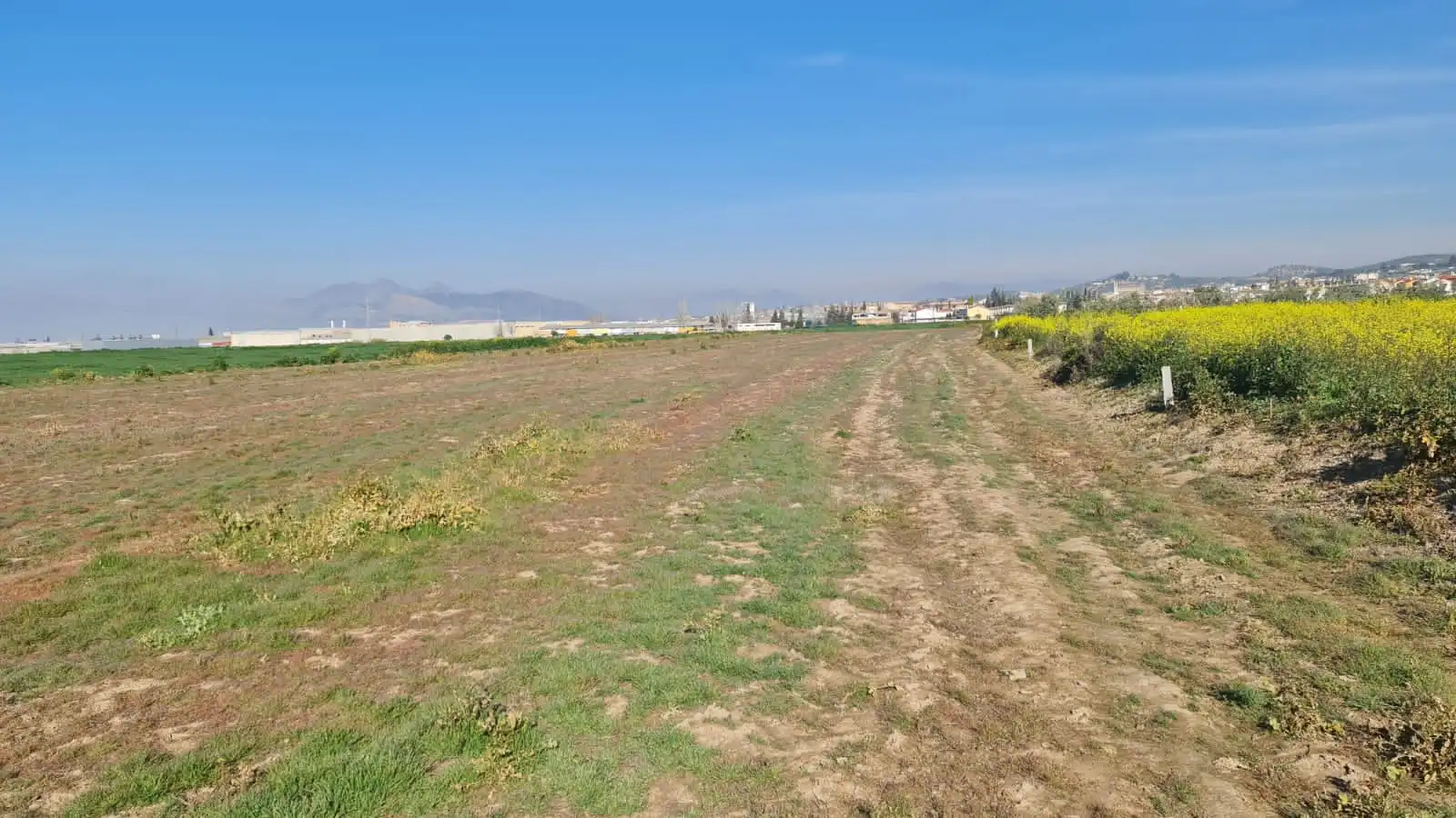 Rustikales Grundstück zum Verkauf in Avenida de Cartuja, imagen 8