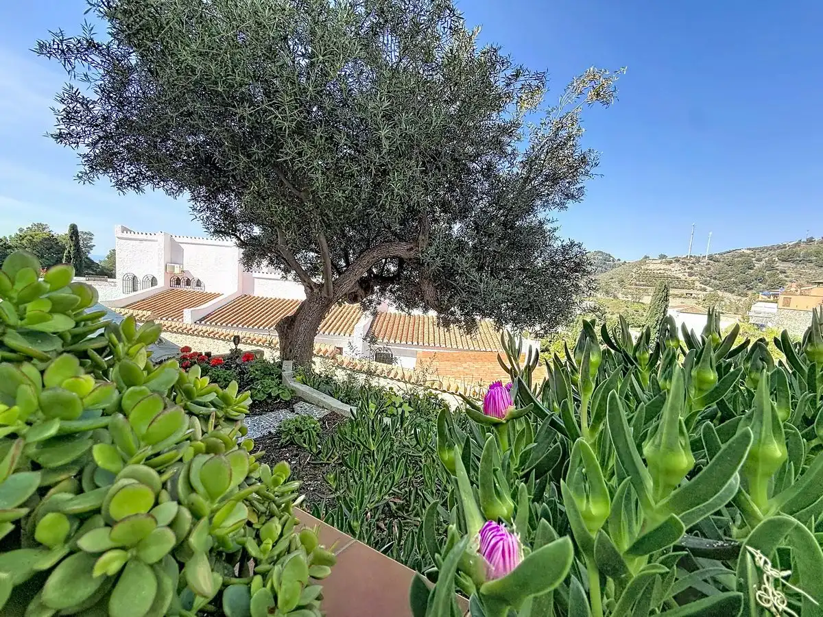 Villa con piscina in vendita a COTOBRO, imagen 44
