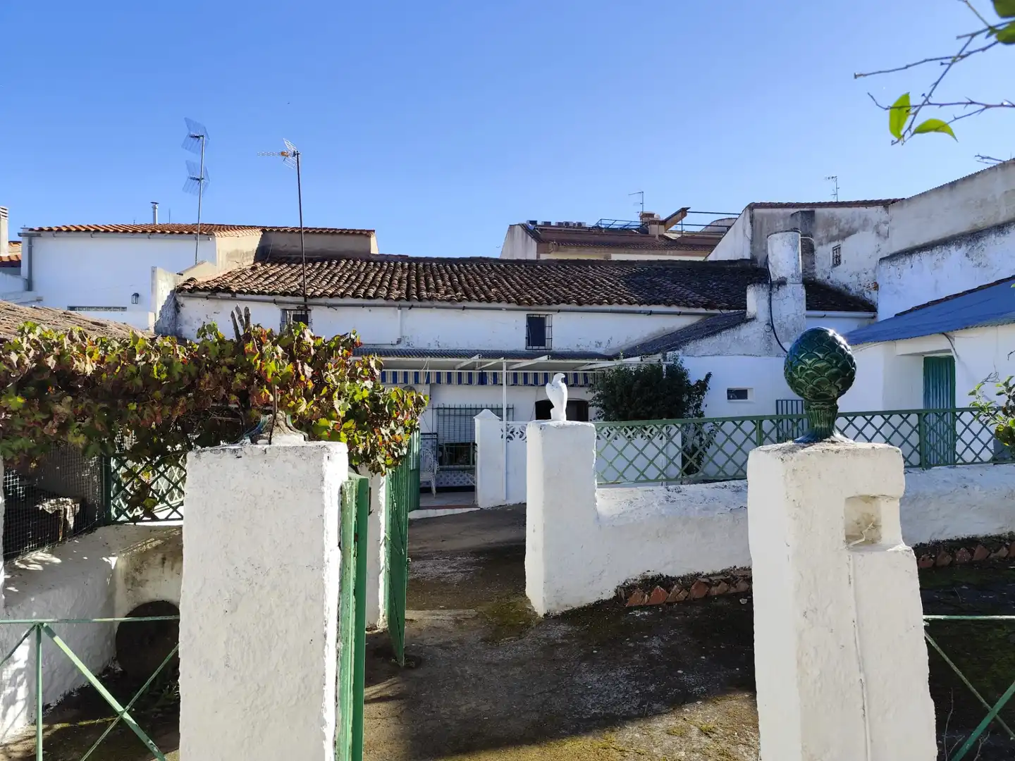 Vista exterior de Casa o chalet en venta en Zafra con Jardín privado