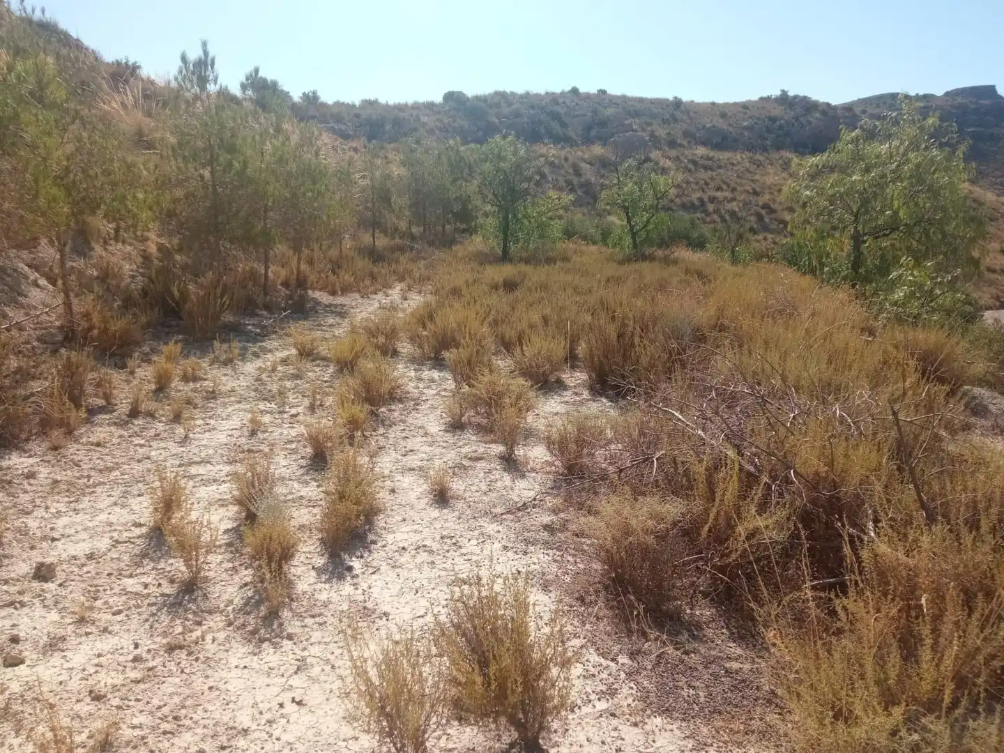 Terrains et parcelles à vendre à Pedanías Norte, imagen 36