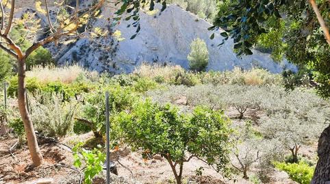 Foto 2 de Finca rústica en venda a Orxeta, Alicante