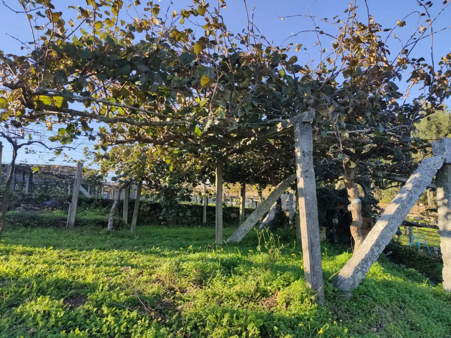 Xalet amb jardí en venda a Lugar CUIÑA-TREMOEDO, imagen 35