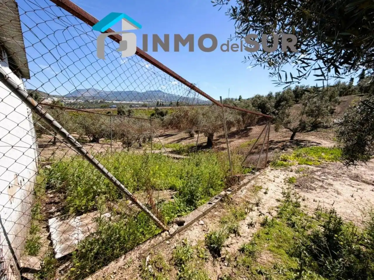 Terreno rustico in vendita a Carretera Lucena-Doña Mencía, imagen 2