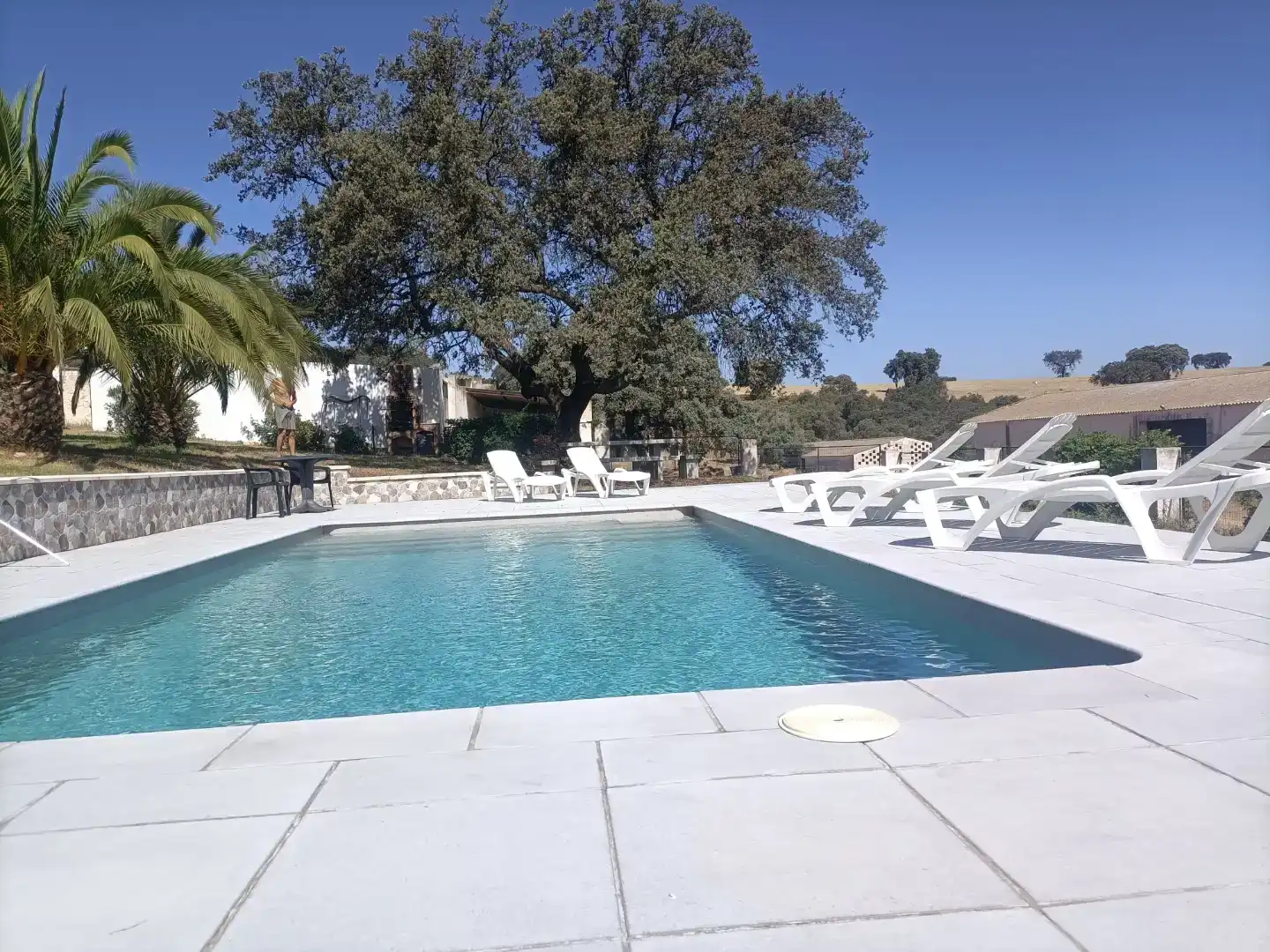 Piscina de Finca rústica en venta en Campanario con Jardín privado, Piscina y Balcón