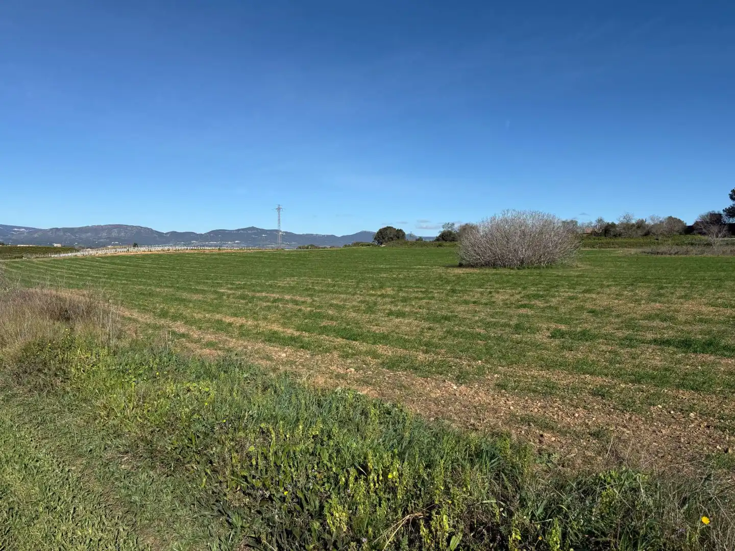 Finca rústica en venda a Puigpelat