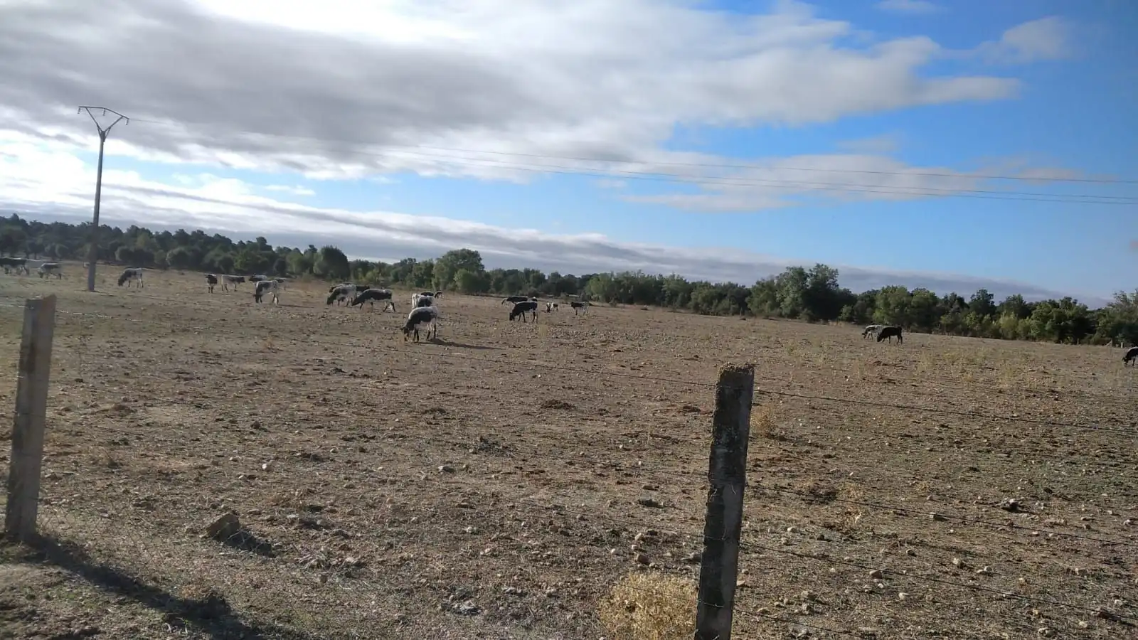Rural land for sale in Topas, imagen 17