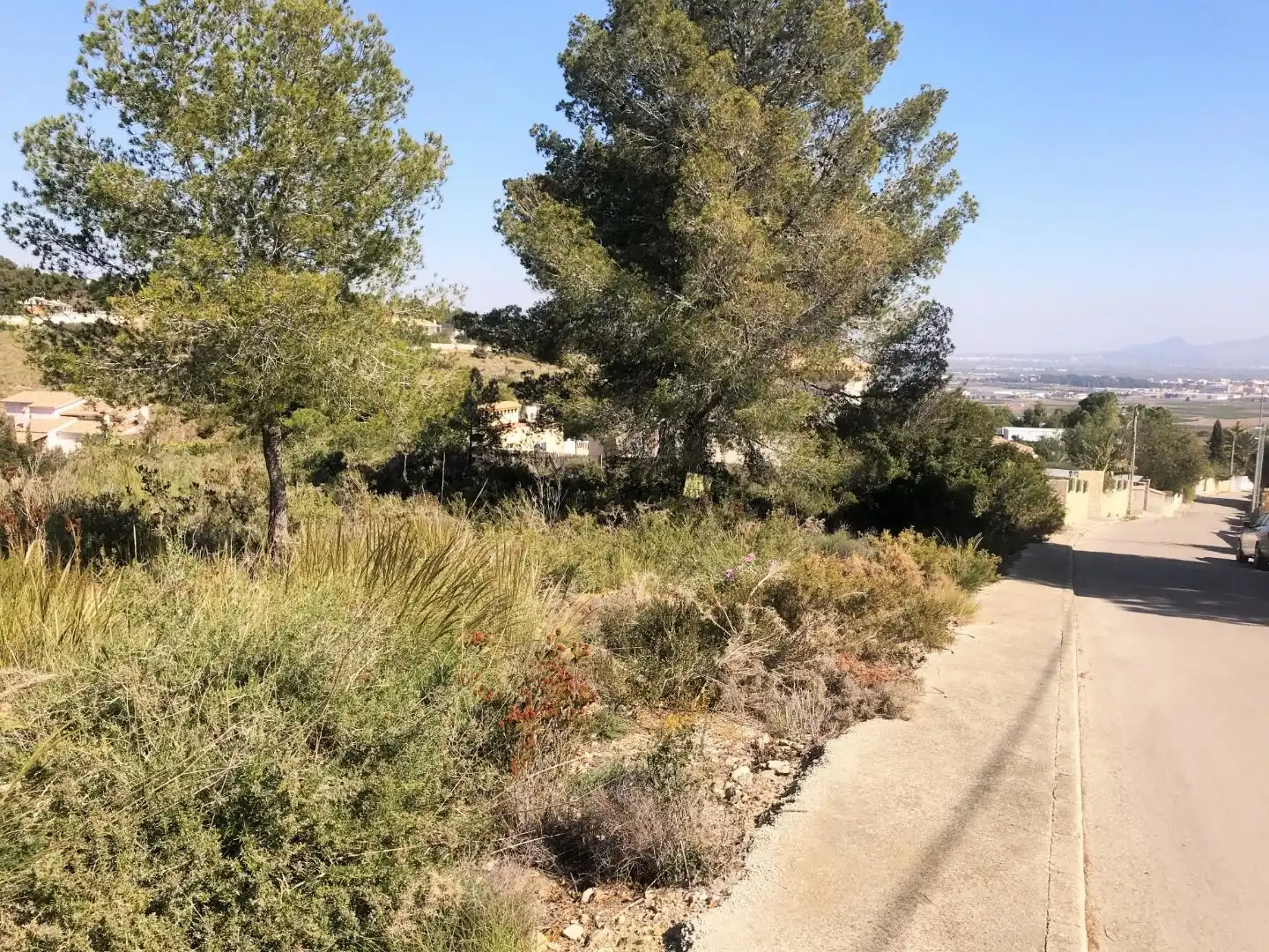 Terreno residencial en venta en Alberic, imagen 2