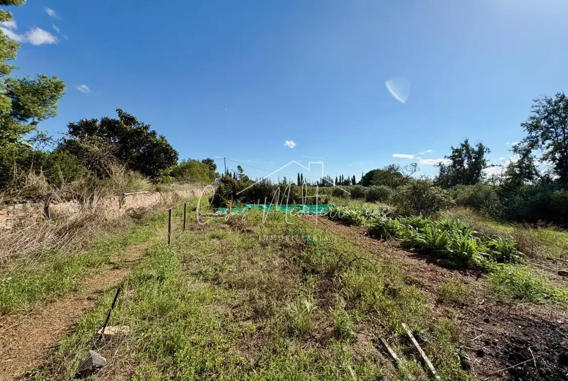 Terreny rústic en venda a Camí Vell de Cambrils, imagen 12