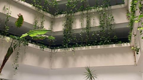 Photo 4 of Flat for sale in Ciutat Universitària, Elche / Elx