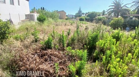 SUELO URBANO DE 551m EN LA PLAYA DE NULES, immagine 5