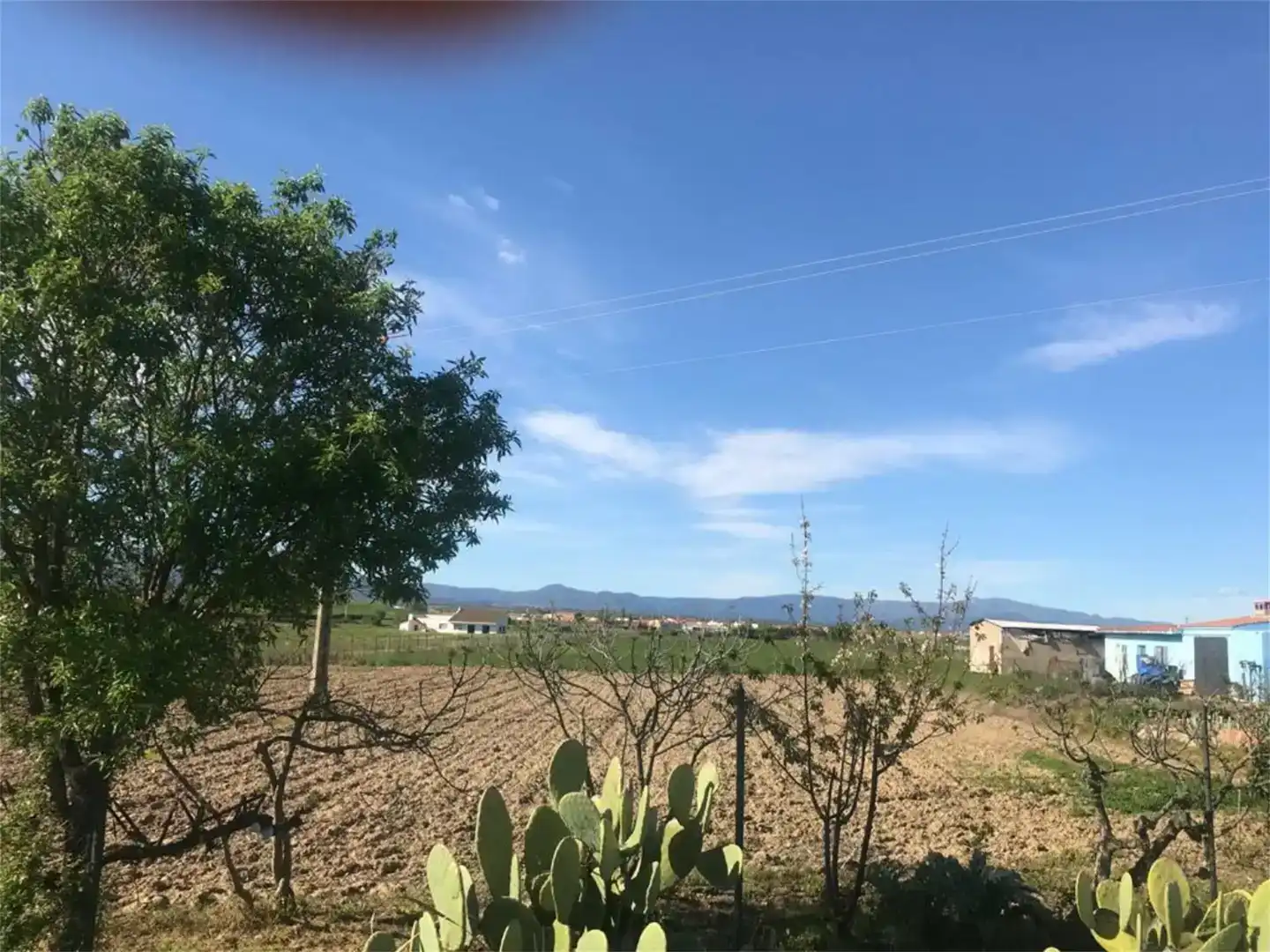 Land for sale in Moraleja