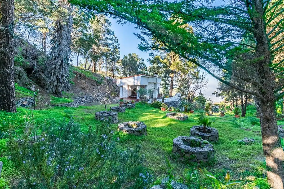 Jardín de Casa o chalet en venta en Telde con Jardín privado