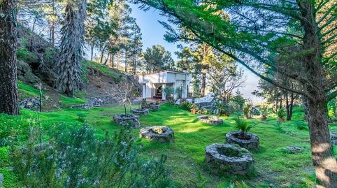 Foto 2 de Casa o xalet en venda a Valle de los Nueve - El Ejido - Medianías, Telde