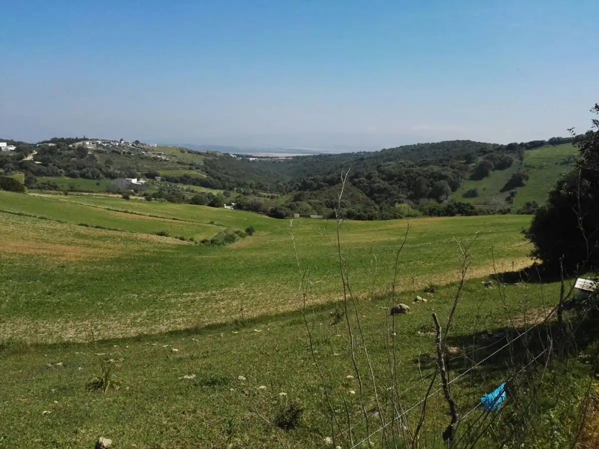 Terrain rustique à vendre à Vejer, imagen 5