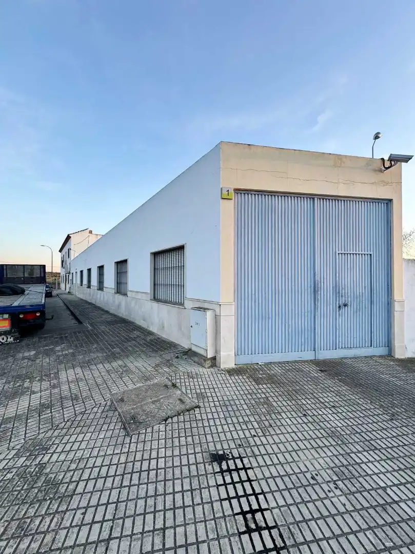 Exterior view of Commercial properties for sale in Gilena